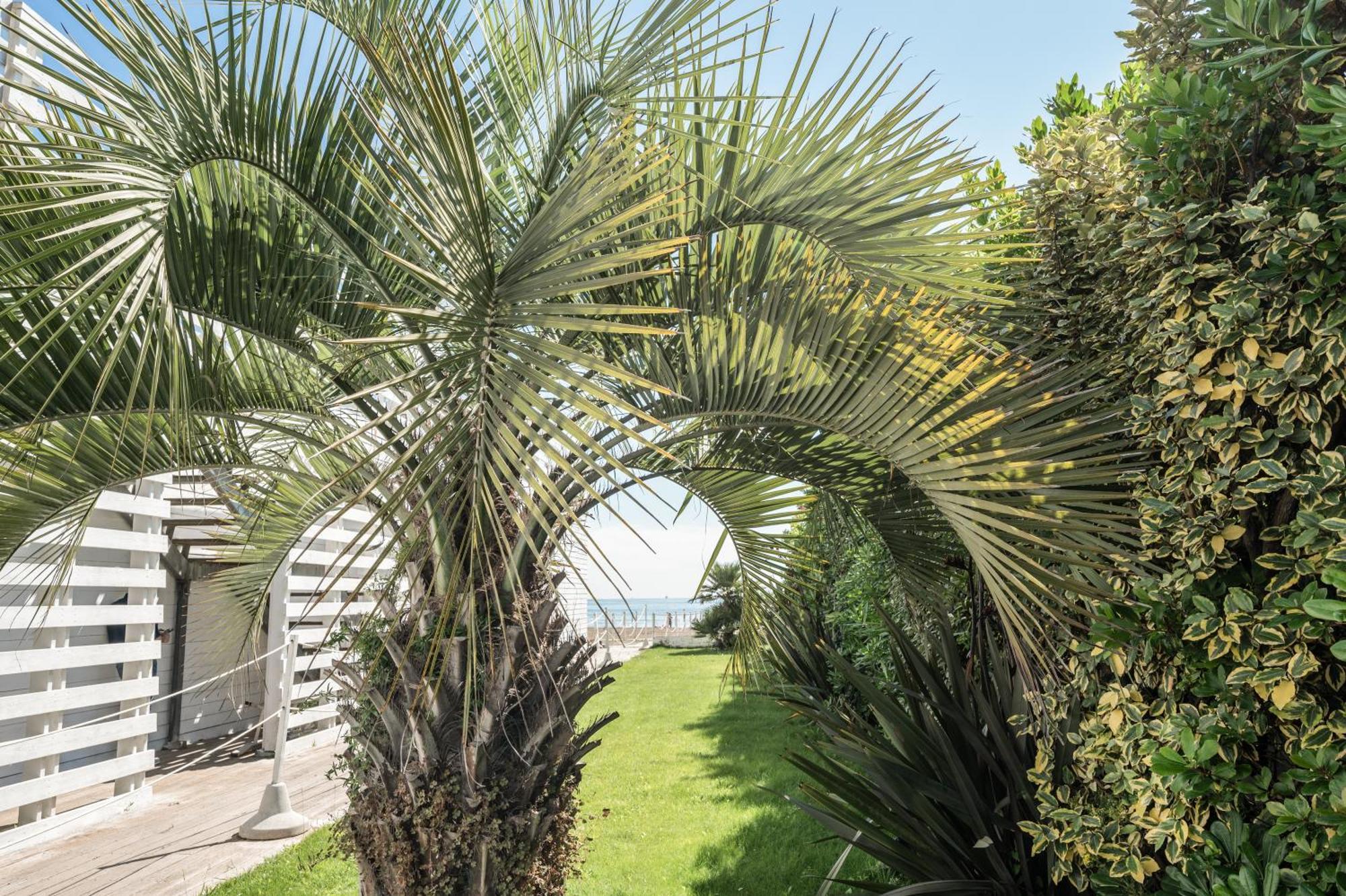 Terme Beach Resort Punta Marina Esterno foto