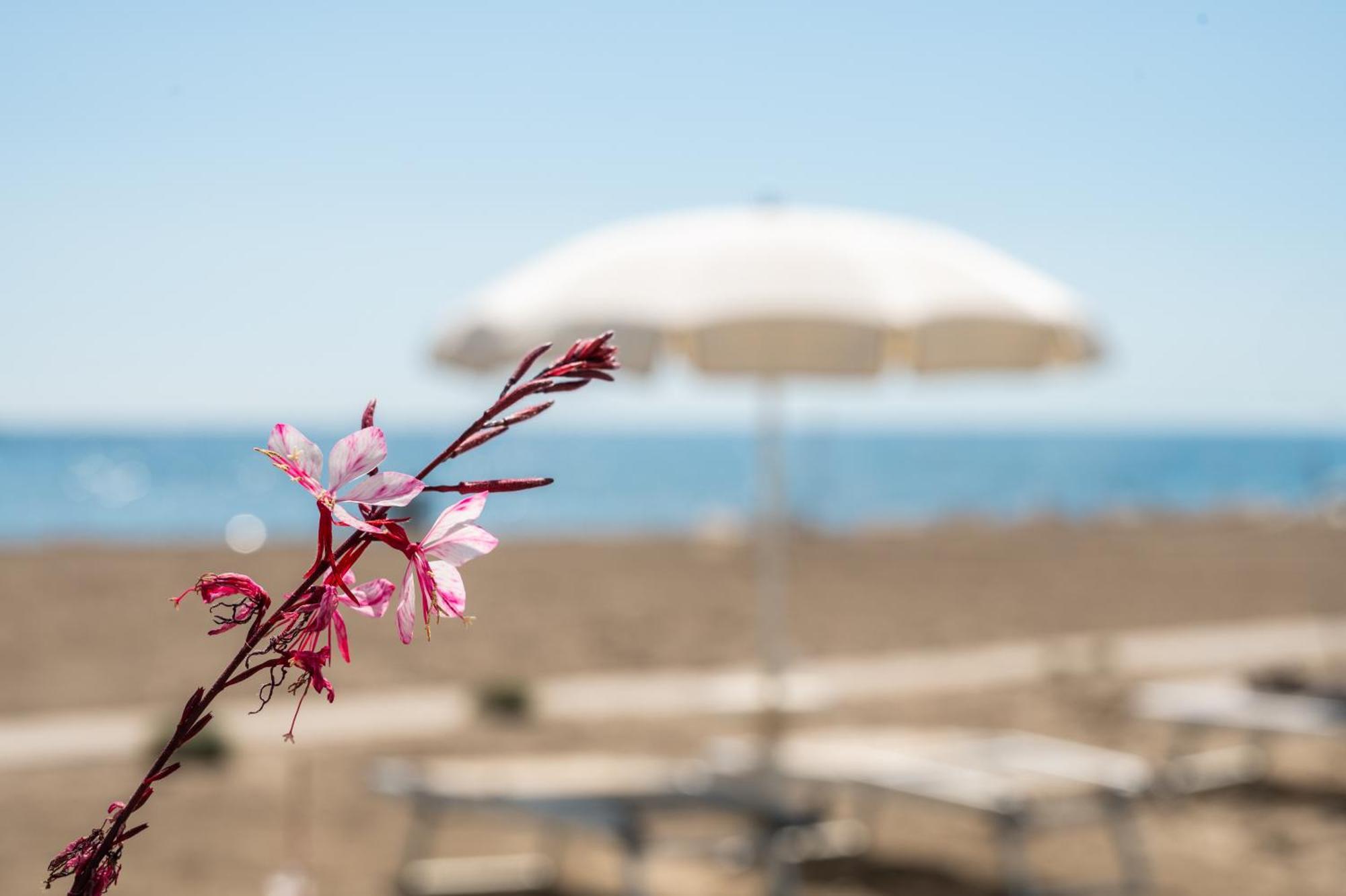 Terme Beach Resort Punta Marina Esterno foto