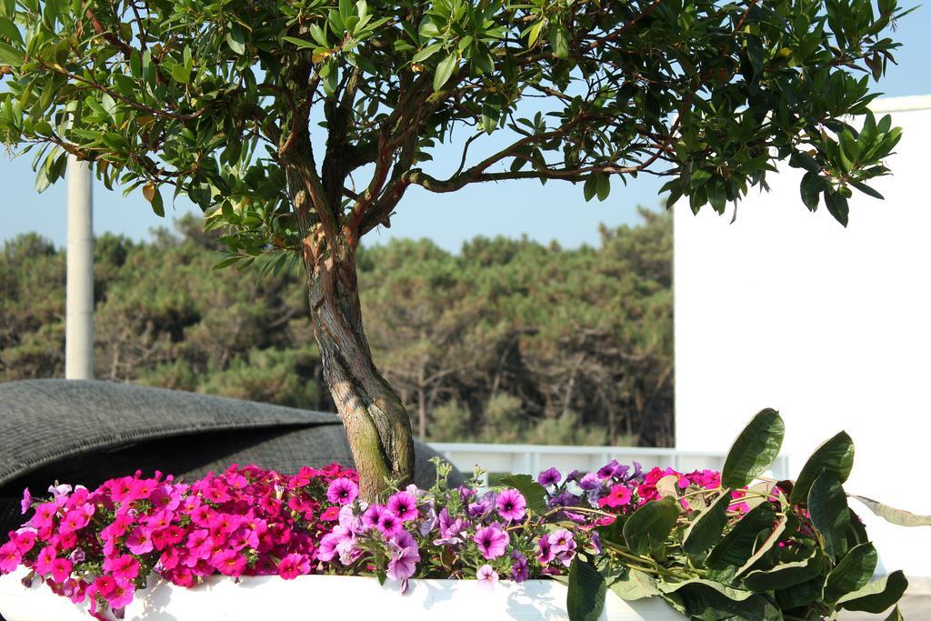 Terme Beach Resort Punta Marina Esterno foto